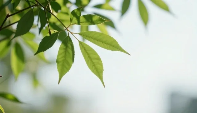系统稳定性在定制开发中的核心价值与实现路径